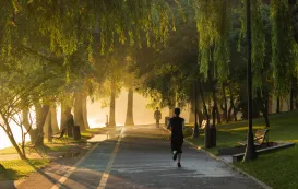 朝のジョギングをしている人