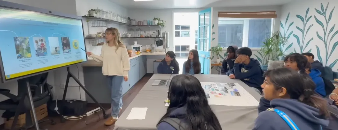 Education Case Study