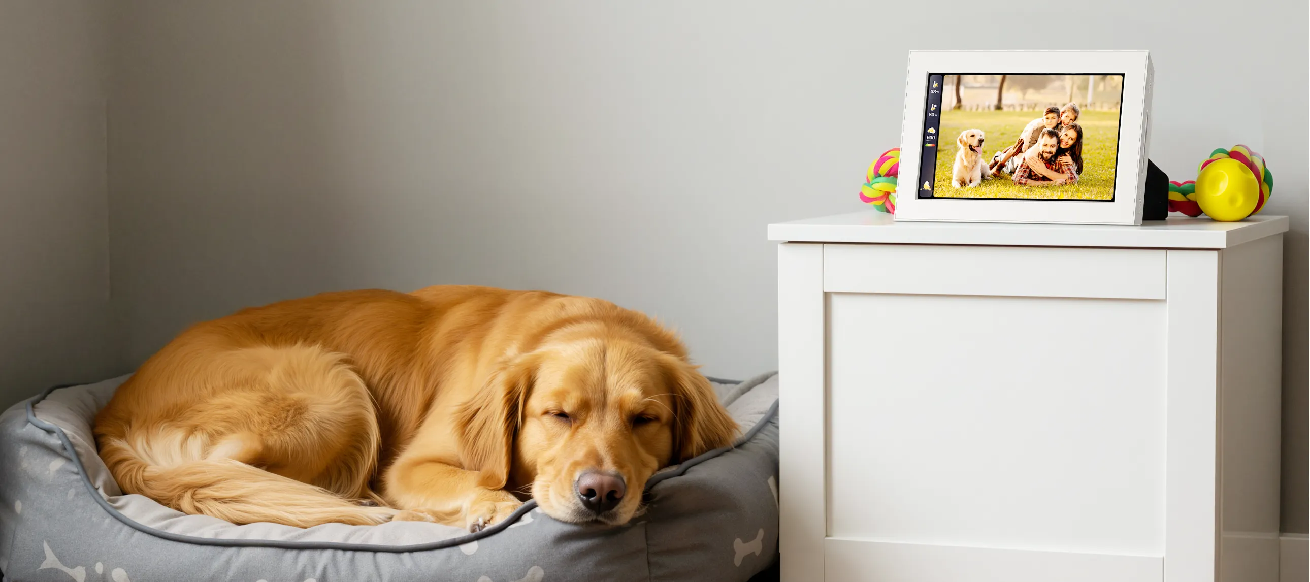 10.1 inch digital photo frame with air quality monitoring for pets