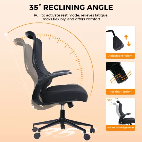 Ergonomic Office Chair