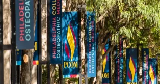 Viele medizinische banner